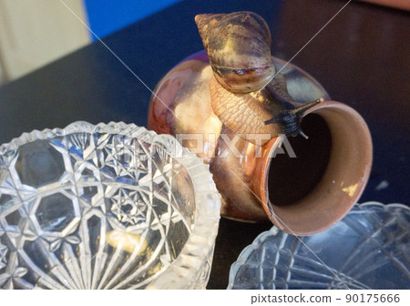 a giant snail on a clay pot looks at a crystal vase 90175666