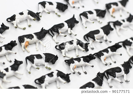 Cow diorama A large amount of cow image Cow diorama A large amount of cow image 90177571