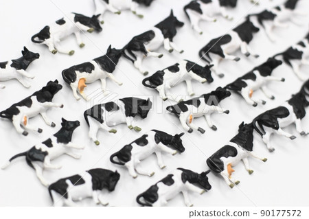 Cow diorama A large amount of cow image 90177572