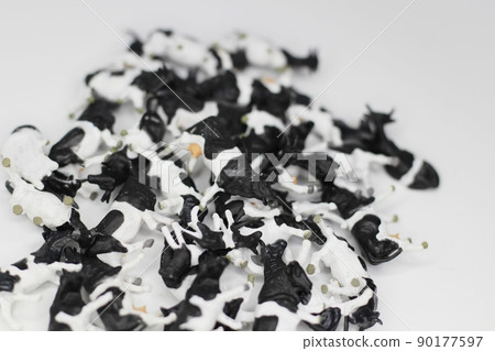 牛西洋鏡 大量牛圖片 90177597