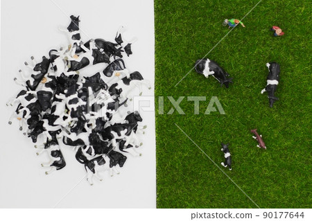 Cow diorama Large amount of cow image Dairy image 90177644