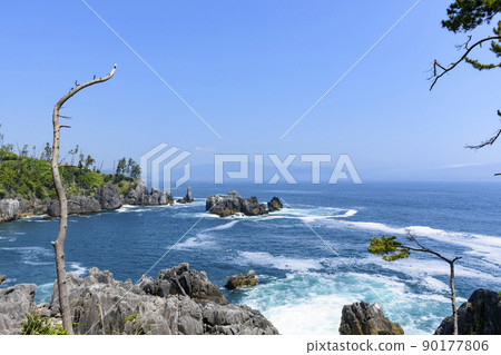 三陸海岸大釜半藏 90177806