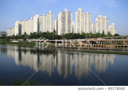 首爾玫瑰節 90178080