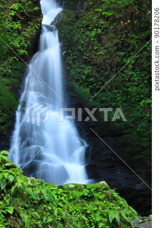 Fresh green waterfall Hamamatsu Tenryu Medaki Fresh green waterfall Hamamatsu Tenryu Medaki 90178206