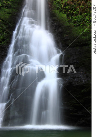 新鮮的綠色瀑布濱松天龍Medaki 90178207