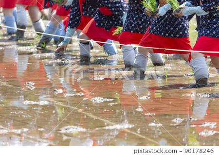 <Shimane Prefecture> Iruma Hanada planting <Shimane Prefecture> Iruma Hanada planting 90178246