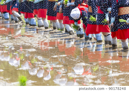 <Shimane Prefecture> Iruma Hanada planting <Shimane Prefecture> Iruma Hanada planting 90178248