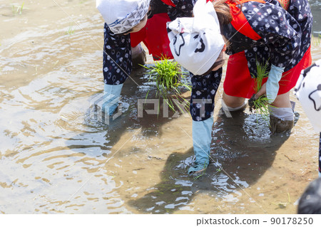 <Shimane Prefecture> Iruma Hanada planting <Shimane Prefecture> Iruma Hanada planting 90178250