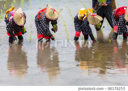 <島根縣>飛騨花卉種植 90178253