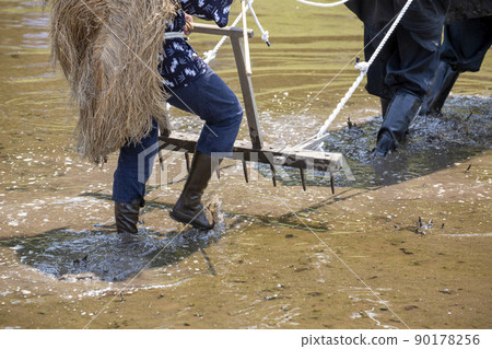 <Shimane Prefecture> Preparation for Hida's flower rice planting-Scratching rice field 90178256