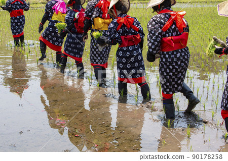 <Shimane Prefecture> Hida flower rice planting <Shimane Prefecture> Hida flower rice planting 90178258