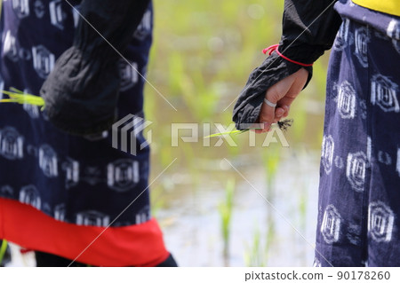 <島根縣>飛騨花卉種植 <島根縣>飛騨花卉種植 90178260
