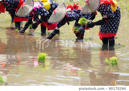 <島根縣>飛騨花卉種植 90178266
