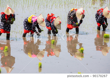 <島根縣>飛騨花卉種植 <島根縣>飛騨花卉種植 90178267