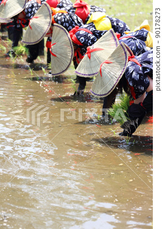 <島根縣>飛騨花卉種植 <島根縣>飛騨花卉種植 90178273