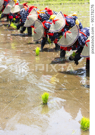 <Shimane Prefecture> Hida flower rice planting <Shimane Prefecture> Hida flower rice planting 90178276