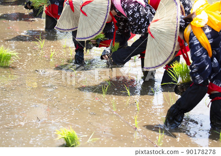 <島根縣>飛騨花卉種植 90178278