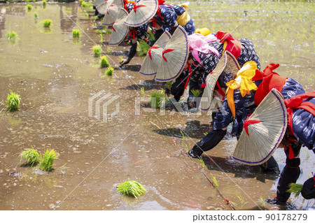 <島根縣>飛騨花卉種植 90178279