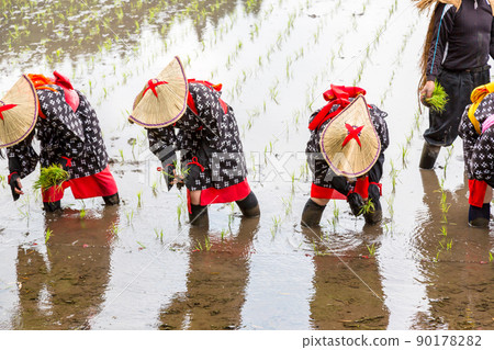 <Shimane Prefecture> Hida flower rice planting <Shimane Prefecture> Hida flower rice planting 90178282