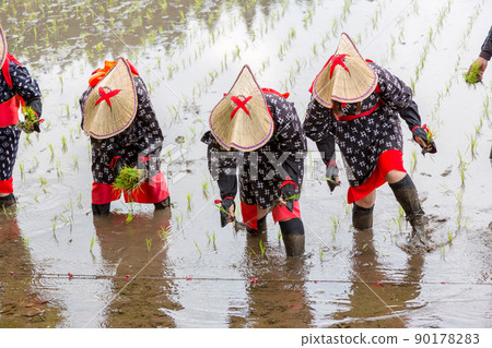 <Shimane Prefecture> Hida flower rice planting 90178283