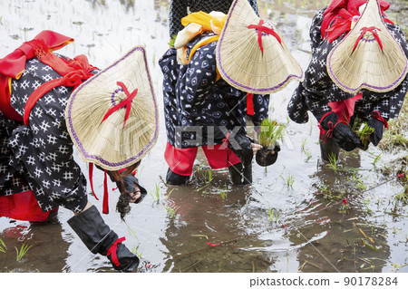 <島根縣>飛騨花卉種植 90178284