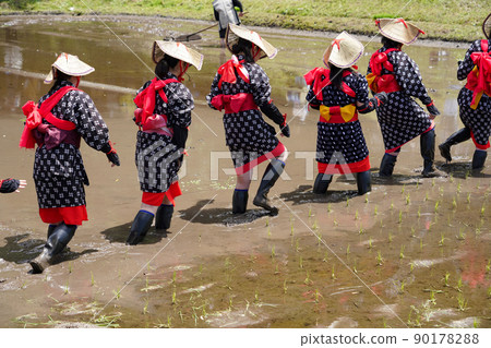 <Shimane Prefecture> Hida flower rice planting 90178288