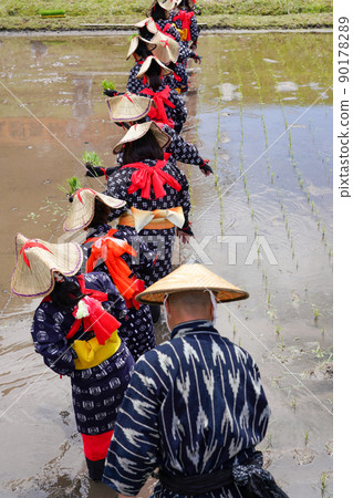 <Shimane Prefecture> Hida flower rice planting 90178289