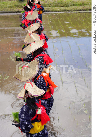 <Shimane Prefecture> Hida flower rice planting 90178290