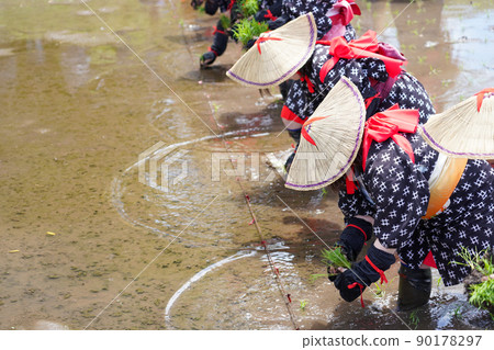 <島根縣>飛騨花卉種植 90178297