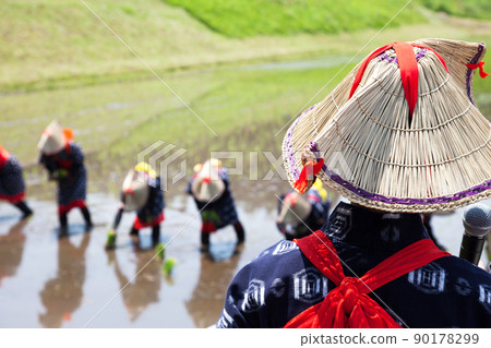 <島根縣>飛騨花卉種植 90178299