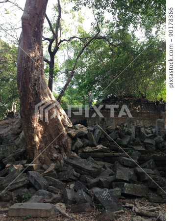 欣賞壯麗的世界遺產！柬埔寨吳哥窟遺址、柏威夏、本梅里亞遺址 90178366