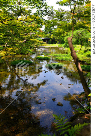 夏日花園 90178677