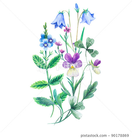Watercolor painted realistic bouquete of meadow flowers isolated on white background. 90178869