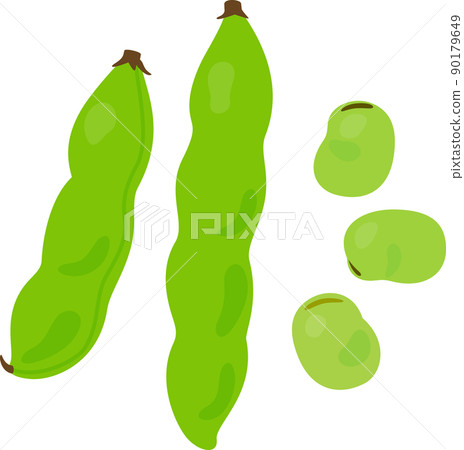 蠶豆 90179649