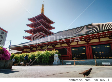 Early summer precincts where you can see the five-storied pagoda of Sensoji Temple in Tokyo Early summer precincts where you can see the five-storied pagoda of Sensoji Temple in Tokyo 90180701