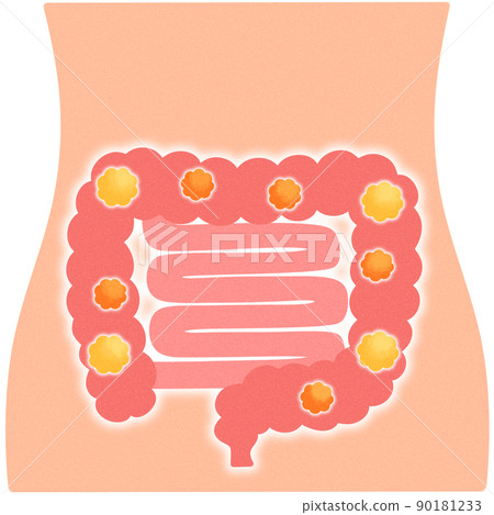 腸道有很多好細菌 90181233