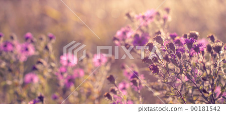 Seasonal sale website banner with wild grass on a meadow Seasonal sale website banner with wild grass on a meadow 90181542