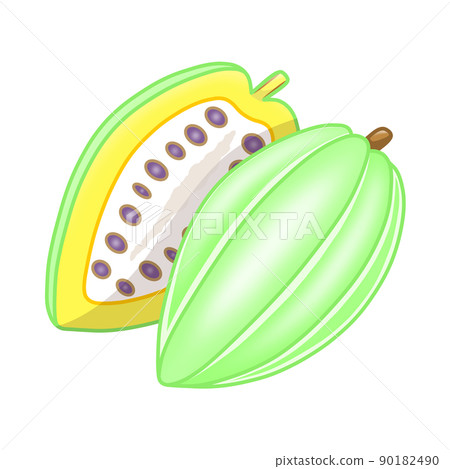 綠色可可果切成兩半（可可豆莢、可可漿、可可豆） 90182490
