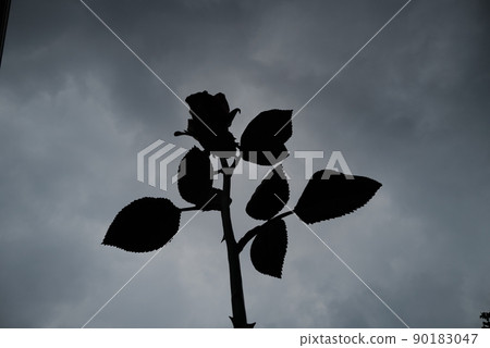 Take a monochrome monument of roses against the sky 90183047