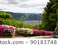 從山，花，城市景觀的風景 90183748