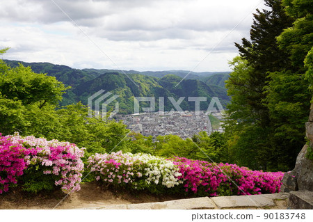 從山,花,城市景觀的風景 從山,花,城市景觀的風景 90183748