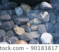 水中的石頭 90183817