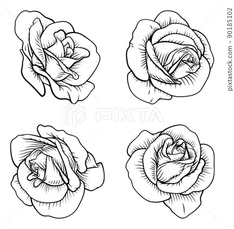 Set of Roses Rose Flowers in Vintage Woodcut Style 90185102