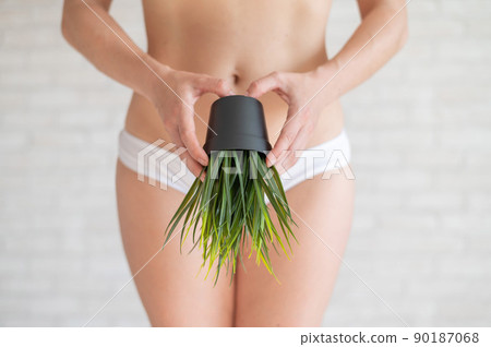 Bikini area depilation. Advertising Brazilian laser bikini line hair removal. A woman in white underwear is holding a potted plant. Epilation of vegetation in the intimate zone. 90187068