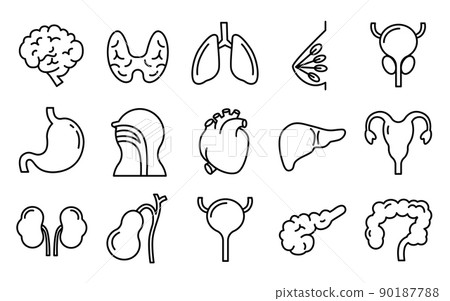 器官和內部組織的圖標集。 器官和內部組織的圖標集。 90187788