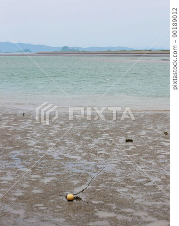 Yatsushiro tidal flat (Yatsushiro City, Kumamoto Prefecture) 90189012