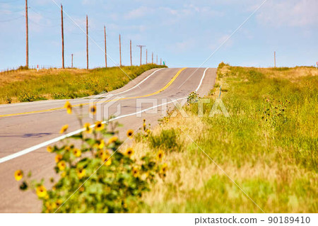 Road through the desert with telephone pole communication and yellow flowers in field Road through the desert with telephone pole communication and yellow flowers in field 90189410
