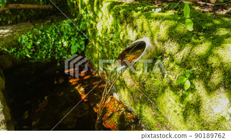 Cold spring water in the mountains of Saga Prefecture 90189762