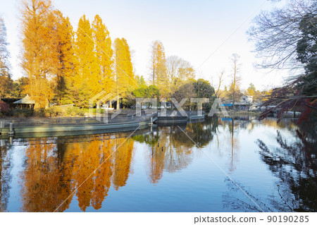 Inokashira Onshi Park Scenery of Inokashira Pond 90190285
