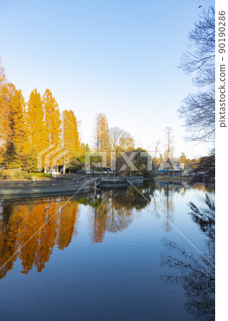 Inokashira Onshi Park Scenery of Inokashira Pond 90190286